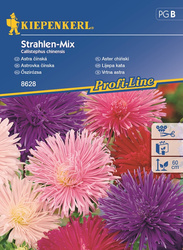 Aster chiński 'Strahlen-Mix' - Nasiona - Kiepenkerl