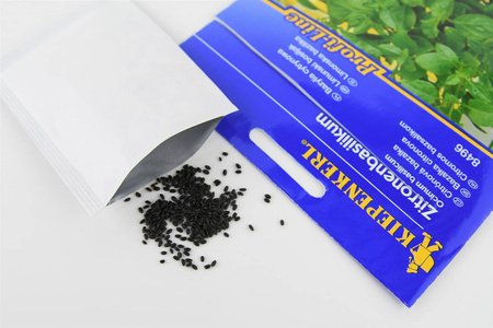 Bazylia cytrynowa Ocimum basilicum