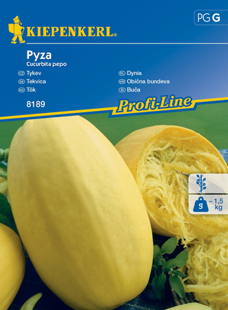 Dynia ,, Pyza ‘’ – Kiepenkerl 