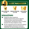 SUBSTRAL podłoże PAPROĆ 3L