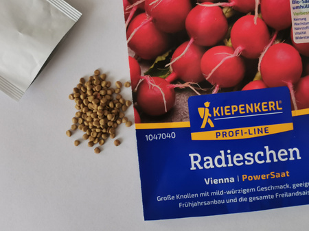 Rzodkiewka 'Vienna' F1 - Nasiona Otoczkowane - Kiepenkerl 