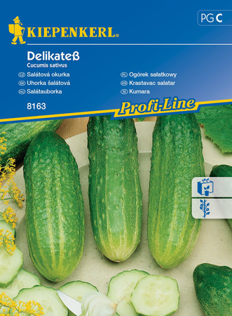 Ogórek sałatkowy ,,Delikateß”- Kiepenkerl 