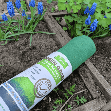  GreenGrass - Trawa Na Macie – z nawozem i hydrożelem Trawy Vegano 3 x 0,5 x 8 m (12  m²)