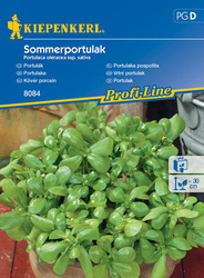 Portulaka pospolita ,,Sommerportulak’’- Kiepenkerl