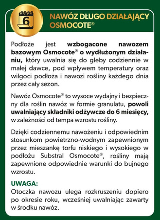 SUBSTRAL podłoże PAPROĆ 3L