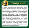SUBSTRAL podłoże PAPROĆ 3L
