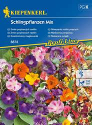 Mieszanka roślin pnących Schlingpflanzen Mix