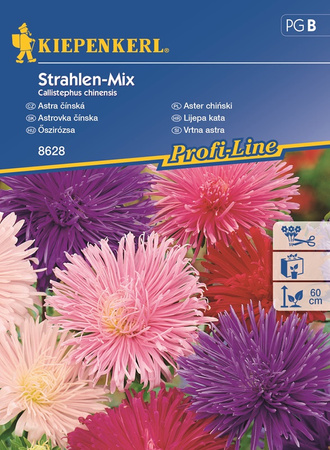 Aster chiński 'Strahlen-Mix' - Nasiona - Kiepenkerl