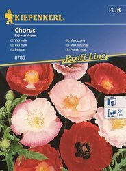Mak polny Chorus