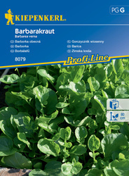 Gorczycznik wiosenny ,,Barbarakraut” – Kiepenkerl