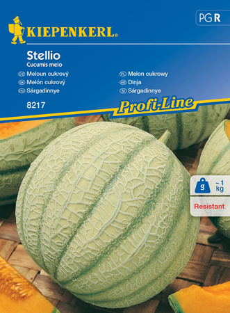Melon cukrowy ,, Stellio ‘’ F1 – Kiepenkerl 