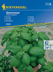 Bazylia Genoveser – Kiepenkerl