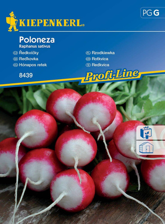 Rzodkiewka Poloneza - Kiepenkerl