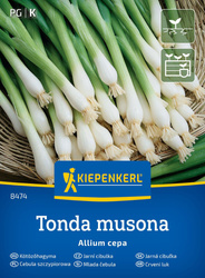 Cebula siedmiolatka , odmiana zimowa  Tonda Musona Kiepenkerl