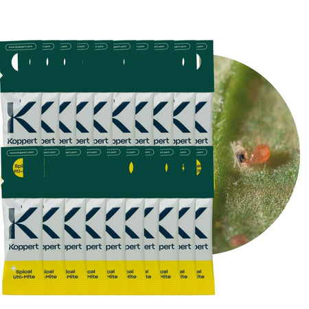 Dobroczynek Kalifornijski Vegano 20 szt 