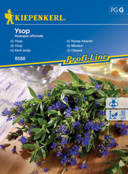 Hyzop lekarski ,, Ysop ‘’ – Kiepenkerl