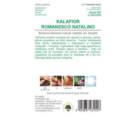 Kalafior Romanesco 1 g - Legutko 