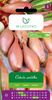 Cebula Szalotka Zébrune 3 g- Legutko 
