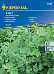 Pietruszka ,,Laura’’ – Kiepenkerl