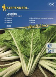 Boćwina, burak liściowy Lukullus