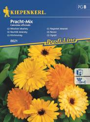 Nagietek lekarski mieszanka