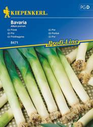 Por Bavaria Allium porrum