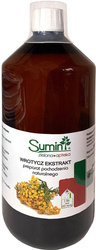 Wrotycz ekstrakt – 1 l Sumin