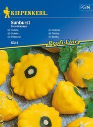 Cukinia Sunburst Cucurbita pepo