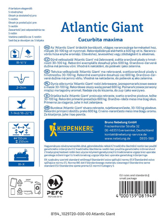 Dynia olbrzymia Atlantic Giant