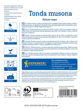 Cebula siedmiolatka , odmiana zimowa  Tonda Musona Kiepenkerl