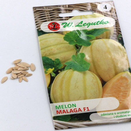 Melon Malaga F1 0,5 g - Legutko 