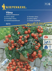 Pomidor Cherry Vilma – Kiepenkerl