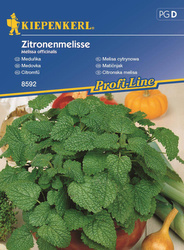 Melisa cytrynowa wieloletnia Melissa officinalis