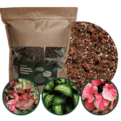 Podłoże do aglaonemy, diffenbachii, caladium 5 L - Urban Jungle