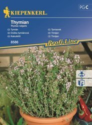 Tymianek Wieloletni Kiepenkerl