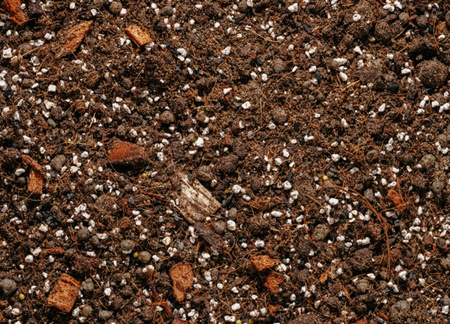 Podłoże do palmy, cykasa, juki, draceny, fikusa - bigos 5 l Urban Jungle