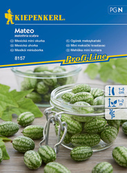 Ogórek meksykański ,,Mateo‘’ – Kiepenkerl
