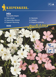 Gipsówka - Mix  Nasiona - Kiepenkerl