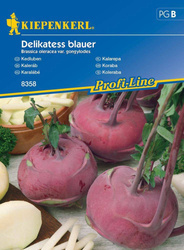 Kalarepa 'Delikateß Blauer' – Kiepenkerl