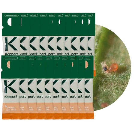 Dobroczynek Swirski Ulti Mite Vegano 20 szt