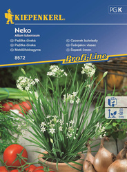 Szczypiorek czosnkowy Neko - Kiepenkerl