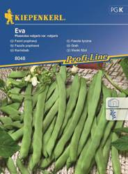 Fasola tyczna Eva
