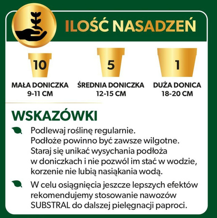 SUBSTRAL podłoże PAPROĆ 3L