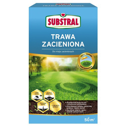 Trawa Zacieniona - Do Cienia 1 kg