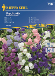 Dzwonek 'Pracht-Mix' - Nasiona - Kiepenkerl