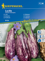 Bakłażan ,,Lucilla’’ F1 – Kiepenkerl