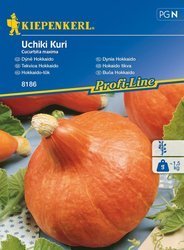 Dynia Hokkaido Uchiki Kuri Cucurbita maxima