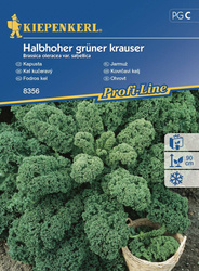 Jarmuż Halbhoher Grüner Krauser – Kiepenkerl