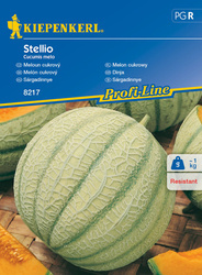 Melon cukrowy ,, Stellio ‘’ F1 – Kiepenkerl