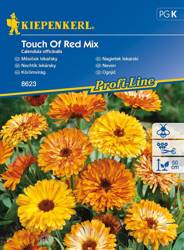 Nagietek lekarski Touch Of Red Mix Calendula officinalis